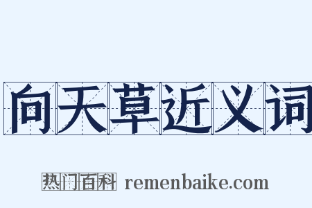 向天草近义词是什么意思的图片